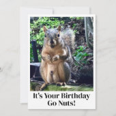 Drôle Écureuil Go Nuts C'est votre carte d'anniver (Devant)