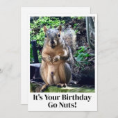 Drôle Écureuil Go Nuts C'est votre carte d'anniver (Devant / Derrière)