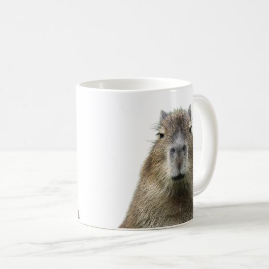 Drôle et mignonne expression de la mug de capybara (Devant droit)