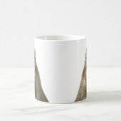 Drôle et mignonne expression de la mug de capybara (Centre)