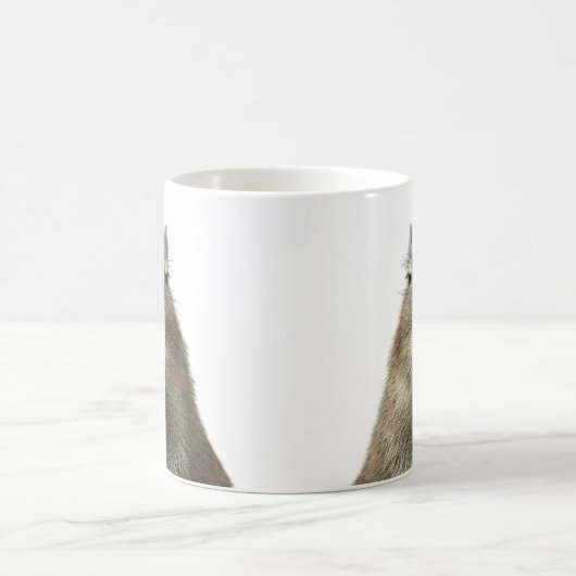 Drôle et mignonne expression de la mug de capybara (Centre)