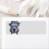 Drôle Étiquettes de adresse de Pitbull (En situation)