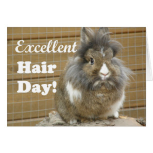 Drôle "Excellente journée des cheveux" pour lapin