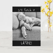 Drôle Faire-part de retraite avec caniche fatigué (Fleur jaune)