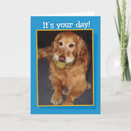 Drôle Golden Retriever avec Balls carte d'annivers