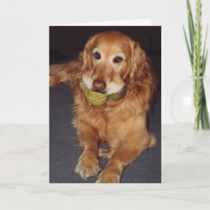 Drôle Golden Retriever avec Balls carte d'annivers