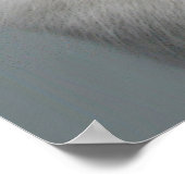 Drôle Humour de chat blanc Poster d'amoureux des a (Coin)