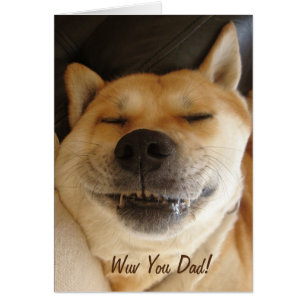 drôle Japonais akita chien avec sourire mignon