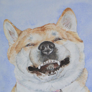 drôle japonaise akita mignon chien souriant amour