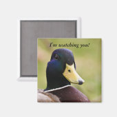 Drôle je vous regarde Duck Fridge Magnet (Recto/Verso)