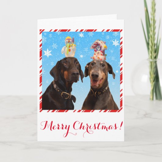 Drôle, jolie carte de Noël pour chien Doberman (Devant)