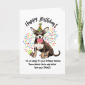 Drôle mignon Chihuahua Chien Carte d'anniversaire  (Devant)
