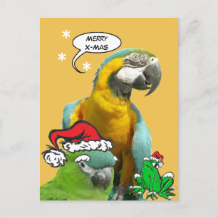 Drôle Parrot Joyeux X-Mas Carte postale