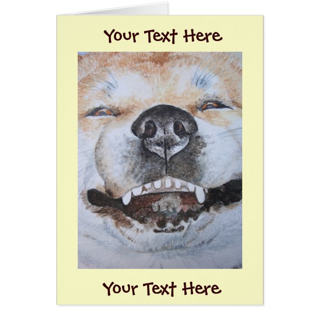 drôle photo d'akita souriant mignon chien (Devant)