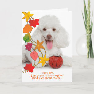 Drôle Poodle Carte Thanksgiving