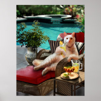 Drôle Poster Animaux de Compagnie Chat Vacances de