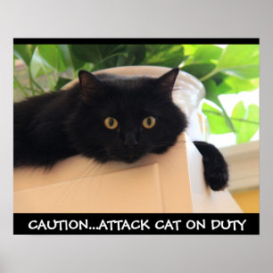 Drôle Poster de chat noir, Attaque Chat en service