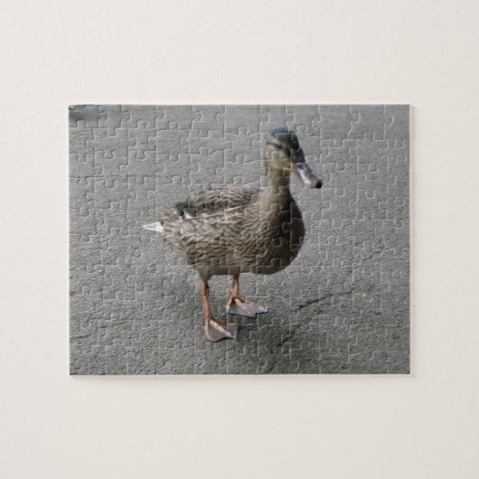 Drôle Puzzle de canard à pattes (Horizontal)