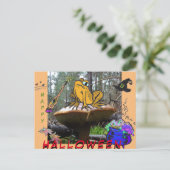 Drôle Sorcière Toad Cartoon Cust. Carte postale Ha (Debout devant)