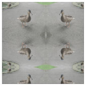 Drôle Waddling Canard Patterned tissu animal (Échantillon)