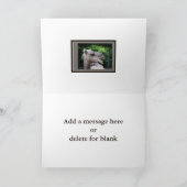 Dromedaris Kameel Wilde Dieren Kaart (Binnen)