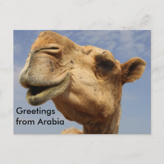 Dromedary camel briefkaart