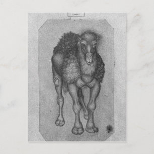 Dromedary, van het Album van de Vallardi Briefkaart