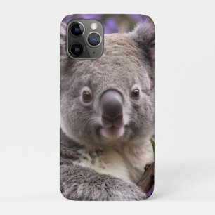 Dromen in het Paarse: een koala in een jacaranda b iPhone 11 Pro Hoesje