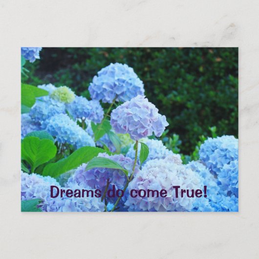 Dromen komen echt uit! ansichtkaarten Blauwe Horte Briefkaart (Voorkant)