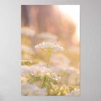 Dromen met de Bloemen Poster
