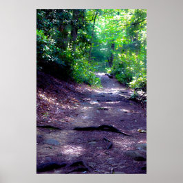 Dromen over een wandelpad poster