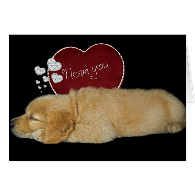 Dromen over liefde (Voorkant Horizontaal)