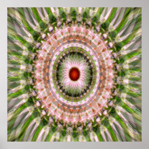 Dromen'...... Poster