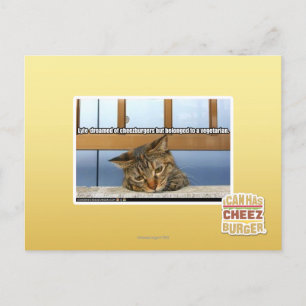 Dromen van Cheesburgers Briefkaart