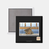 Dromen van Cheesburgers Magneet (Voorkant / Achterkant)