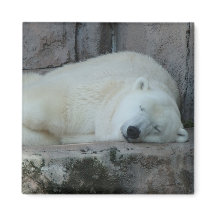 Dromen van ijsbergen