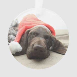 Dromen van Sinterklaas - Duitse Staande Hond Puppy Ornament