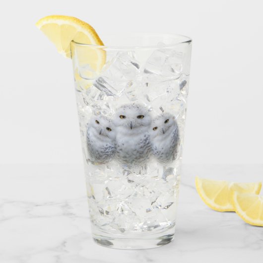 dromen Wisdom van Snowy Owls Family Glas (Voorkant ijs)