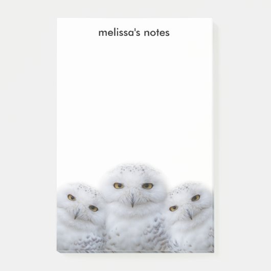 dromen Wisdom van Snowy Owls Family Post-it® Notes (Voorkant)