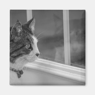Dromend van warmer weer grijswaarden magneet