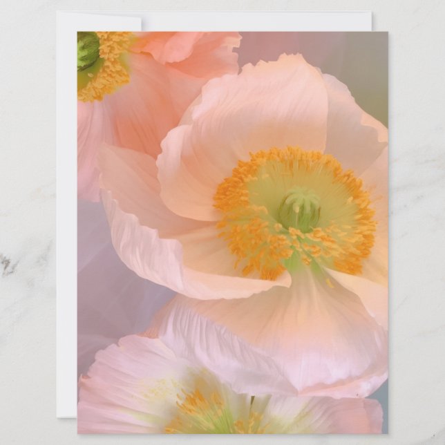 Dromerig Briefhoofd (Voorkant)