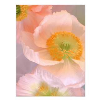 Dromerig Foto Afdruk