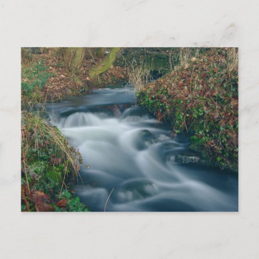 Dromerig stream briefkaart (Voorkant)
