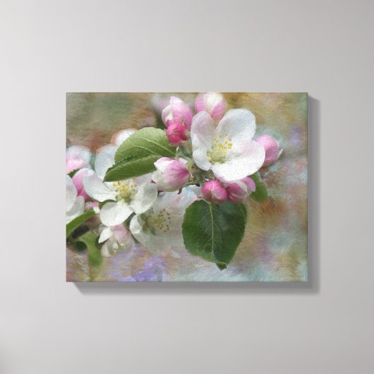 Dromerige Apple Blossoms Canvas Print (Voorkant)