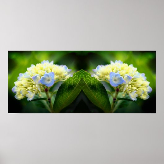 Dromerige Blauwe Hydrangea Bloemspiegel Abstract Poster (Voorkant)