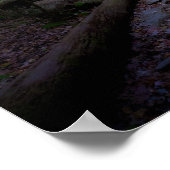 Dromerige bossen met Rock Trail Poster (Hoek)