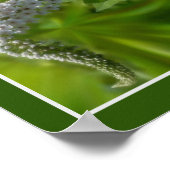 Dromerige Curling Witte Wilde Bloem Abstract Poster (Hoek)