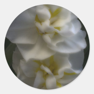 Dromerige Narcissus narcissen Ronde Sticker