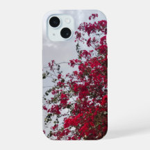 Dromerige Rode Bougainvillea Bloemen Fotografie iP