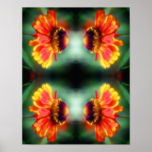 Dromerige Zinnia Bloem Abstracte Kunst  Poster